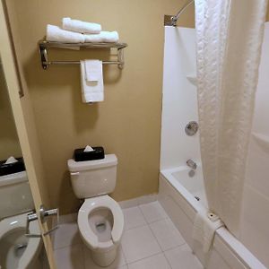 One-Bedroom King Suite